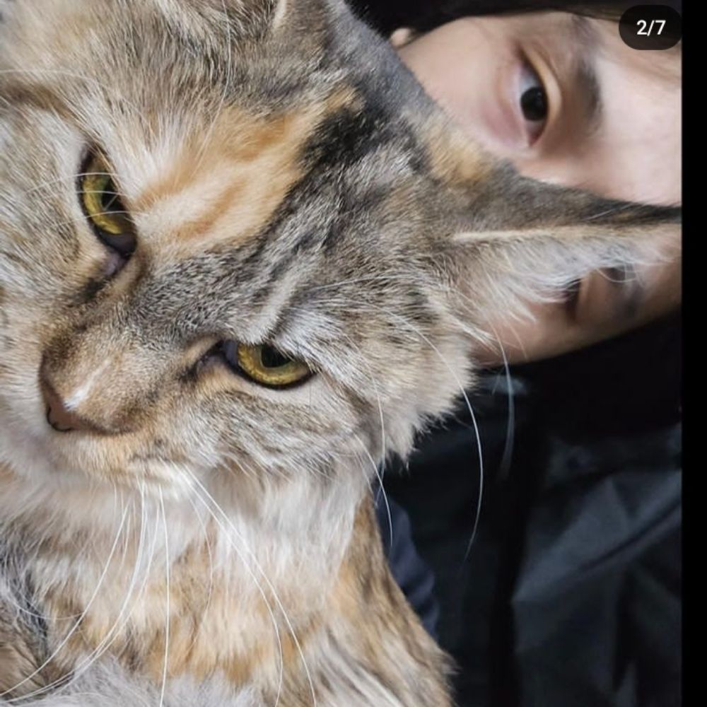 kitzao