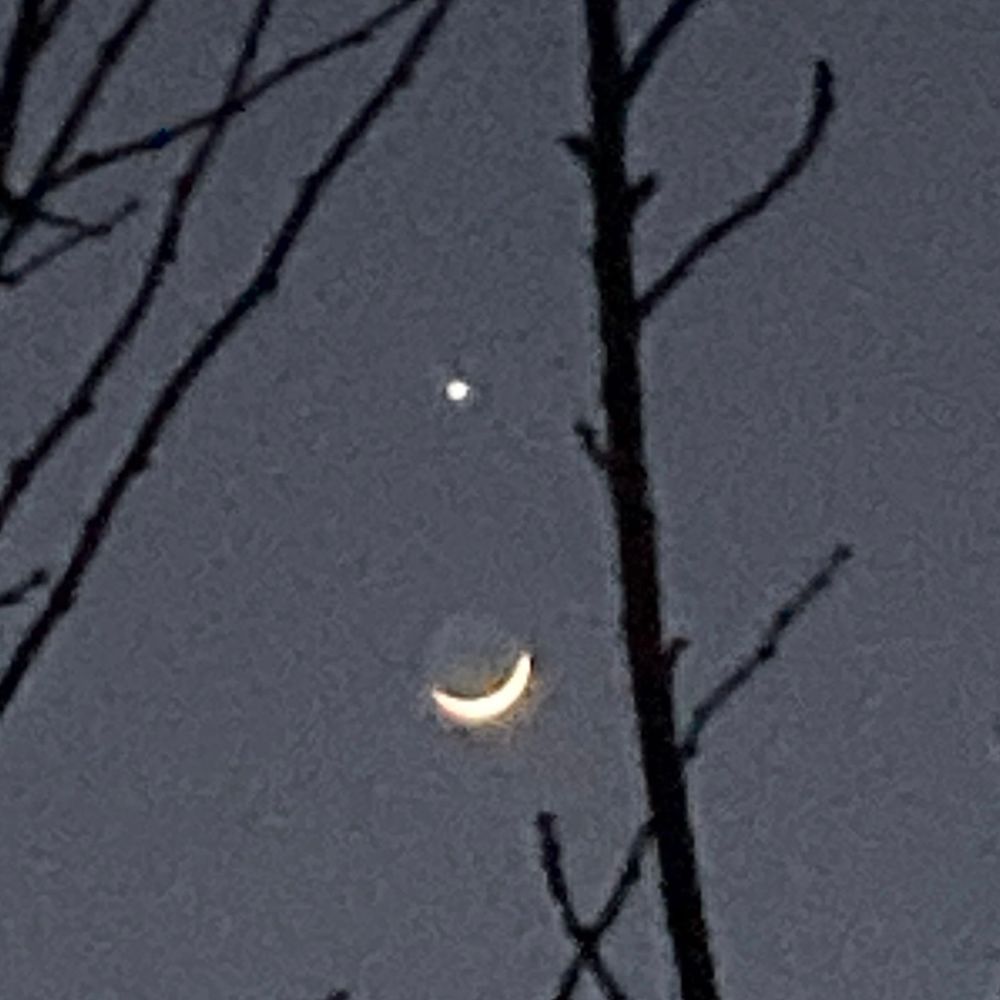asteroid1918 吉田省子