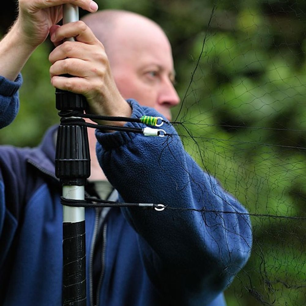 BatAbility Courses & Tuition