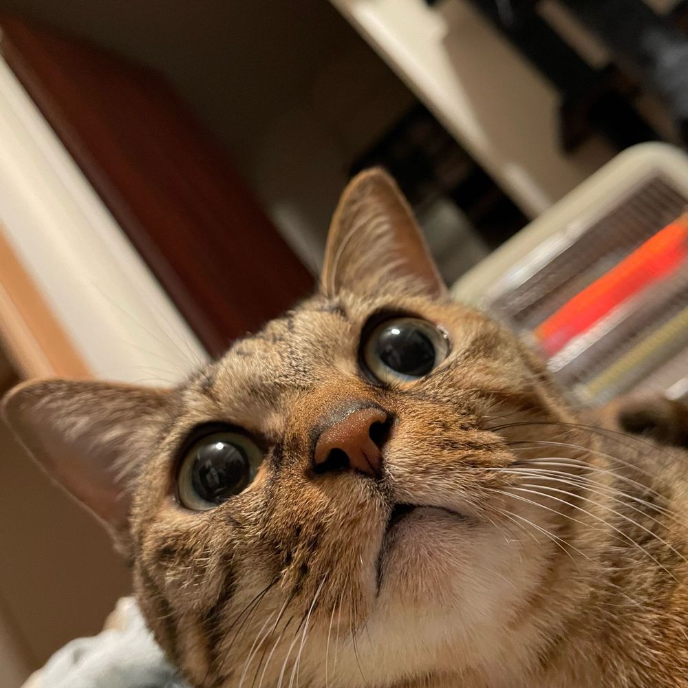 そ🐾