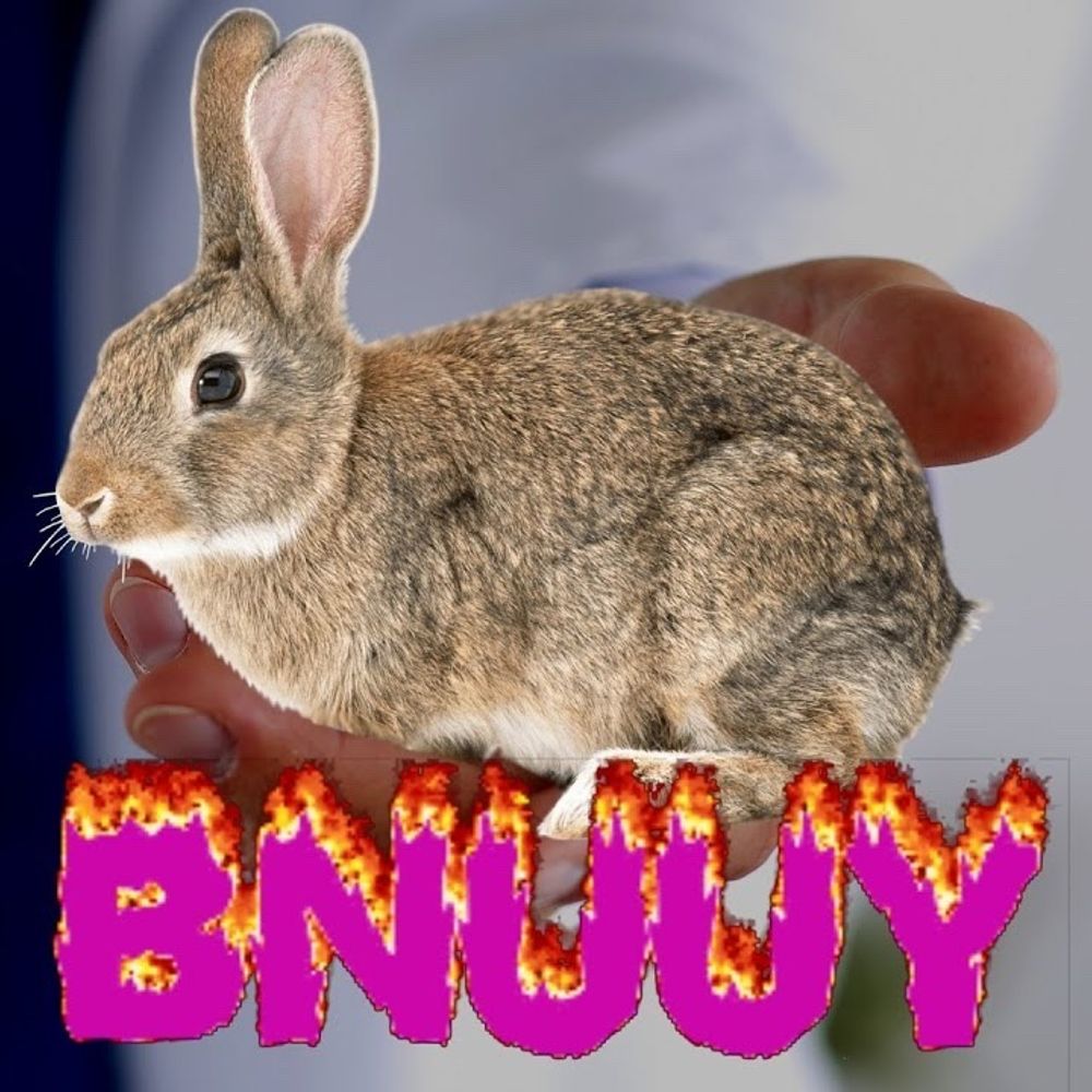 Bunniikyuu