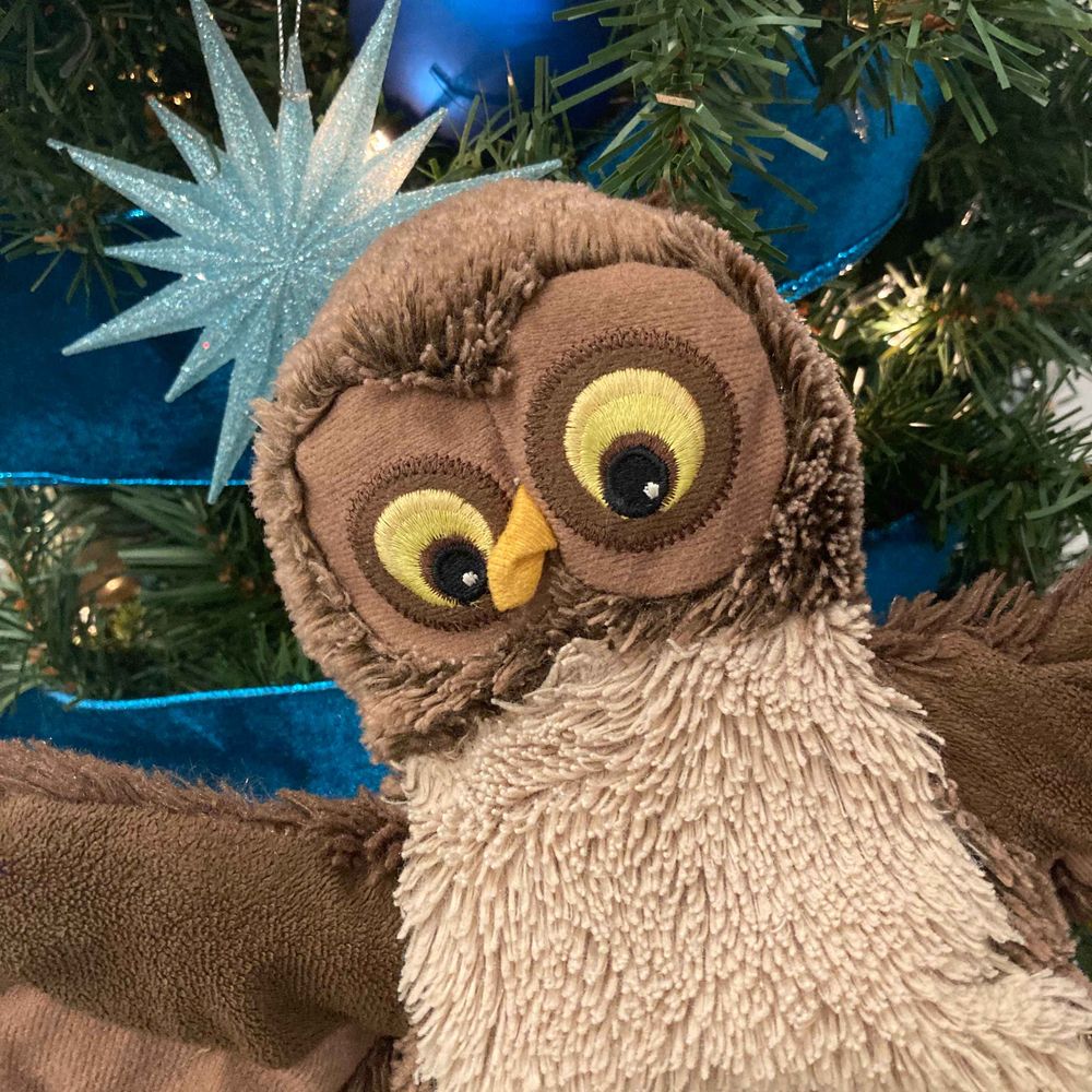 HootHoot