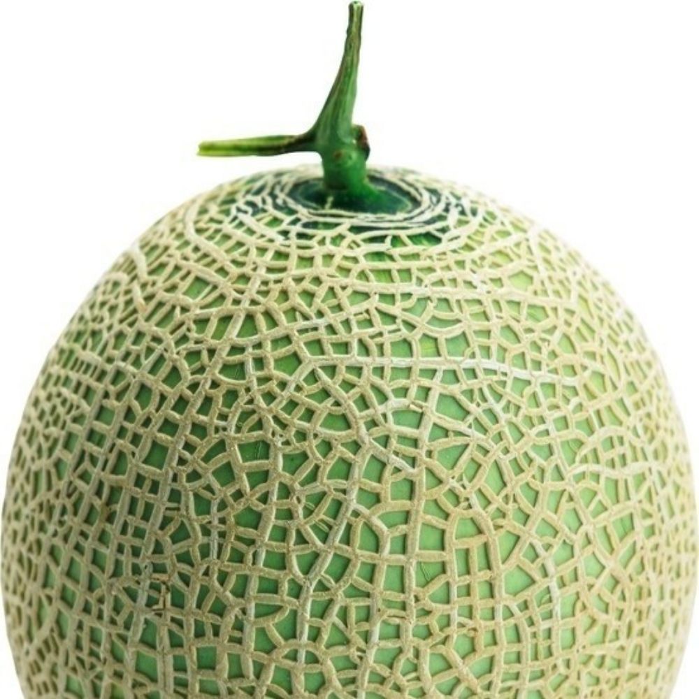 神奇蜜瓜