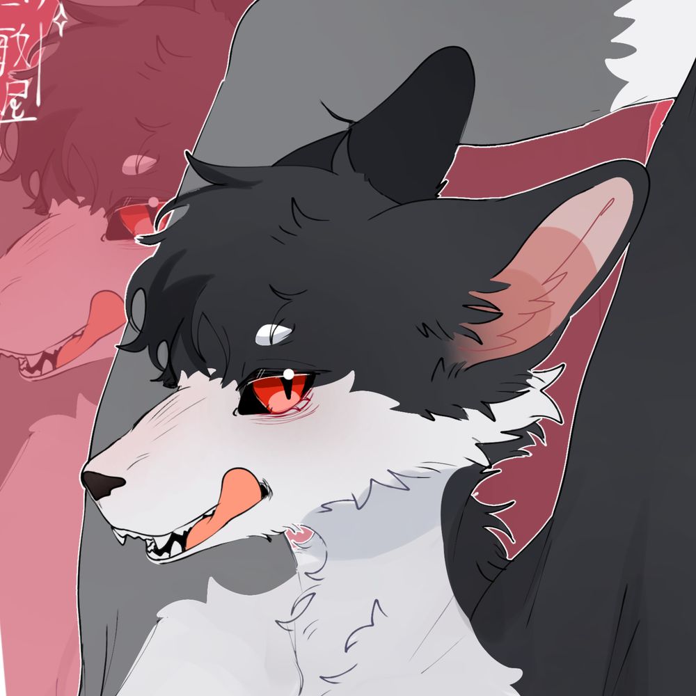 Sugi