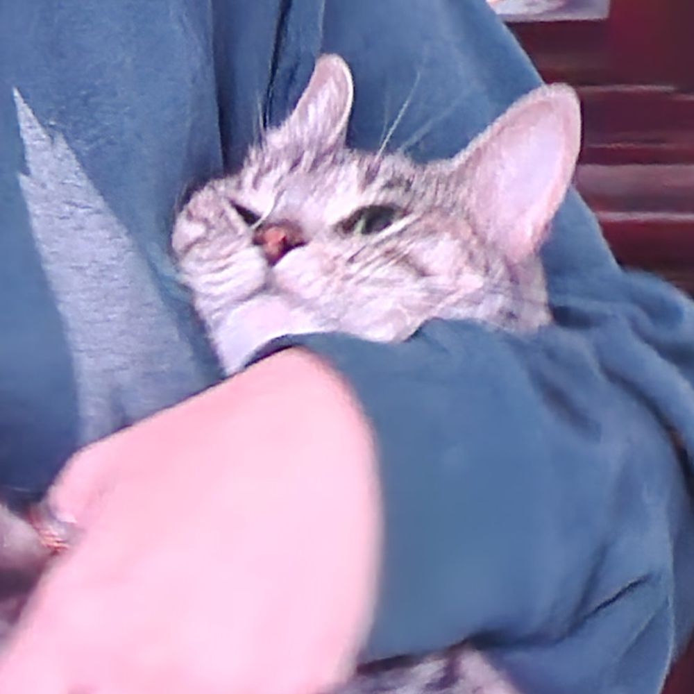 Jessica the Catboi Expert