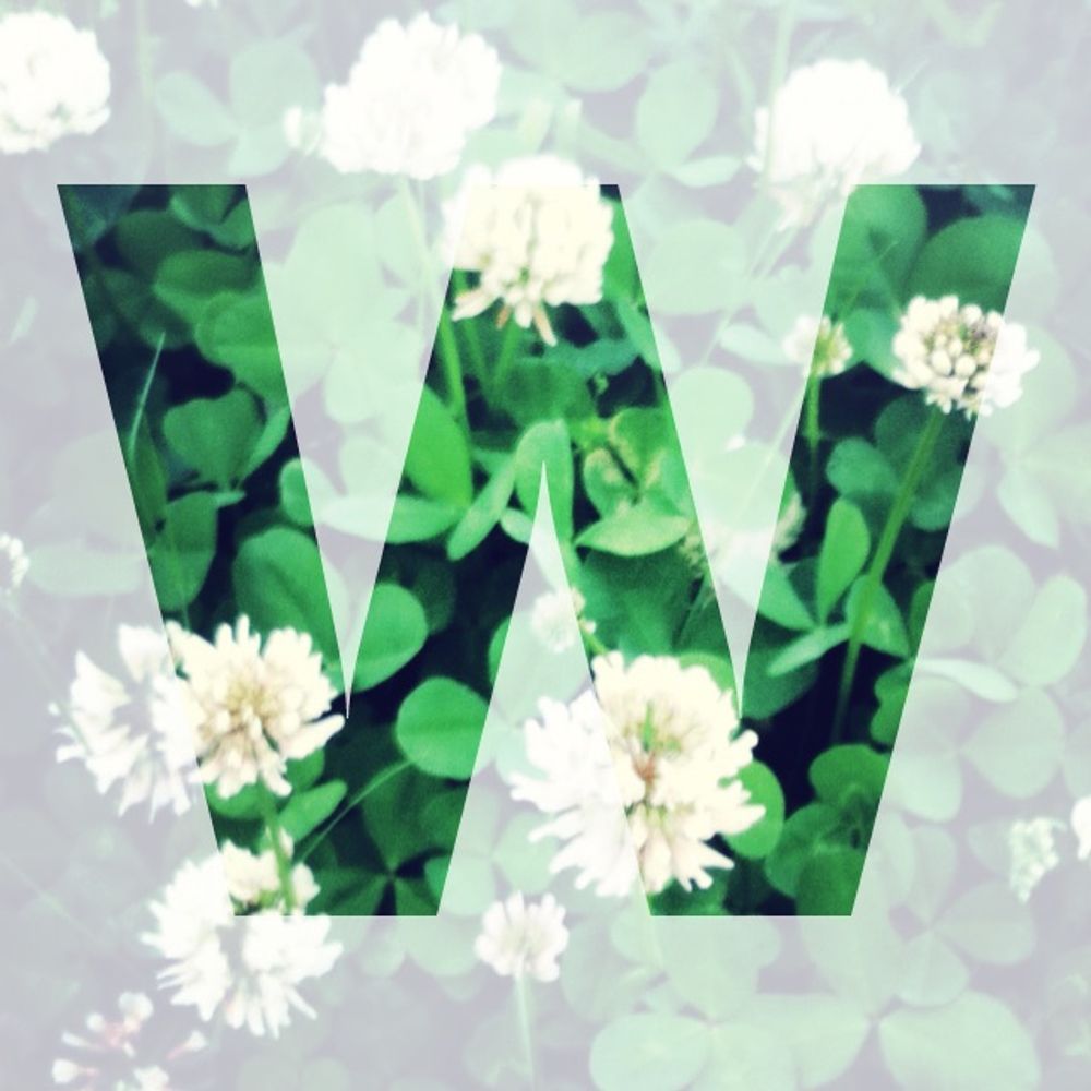 wavisavi