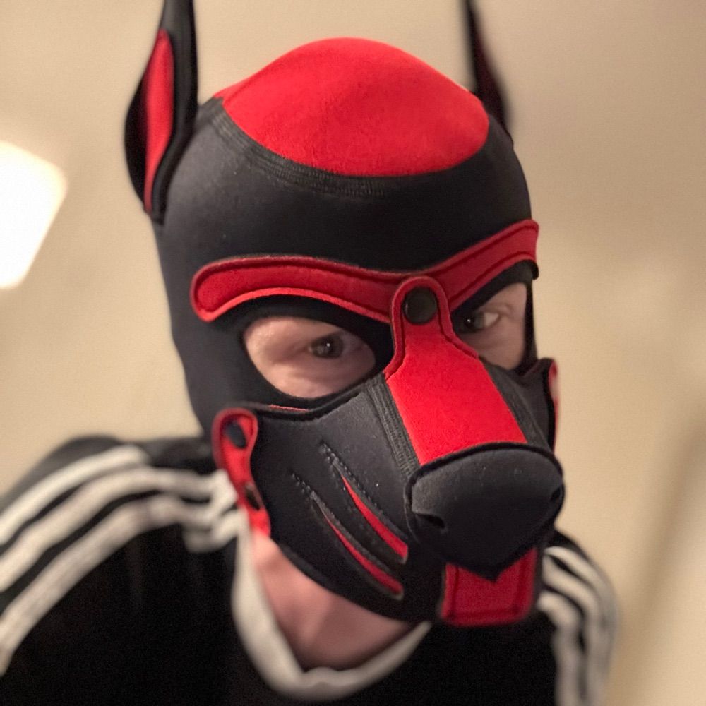 Profile picture gearpupkylo.bsky.social