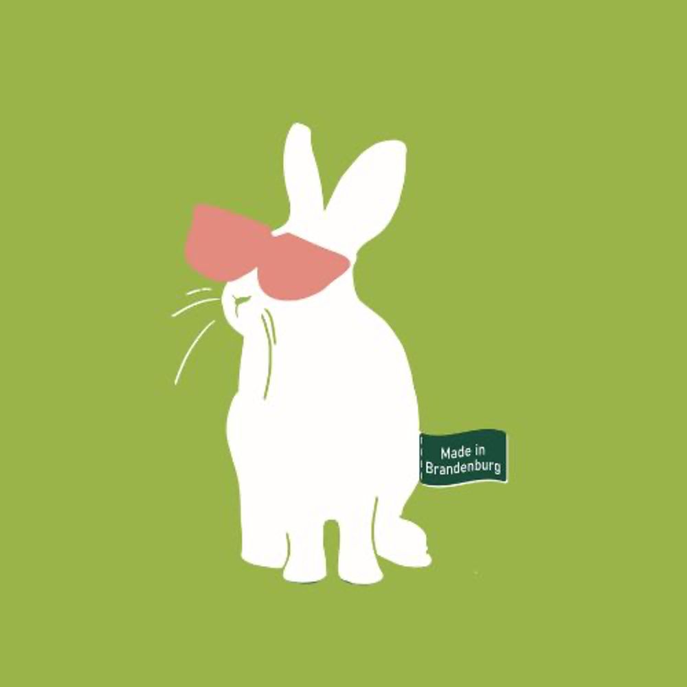 The Rabbit - Indie Games Residency