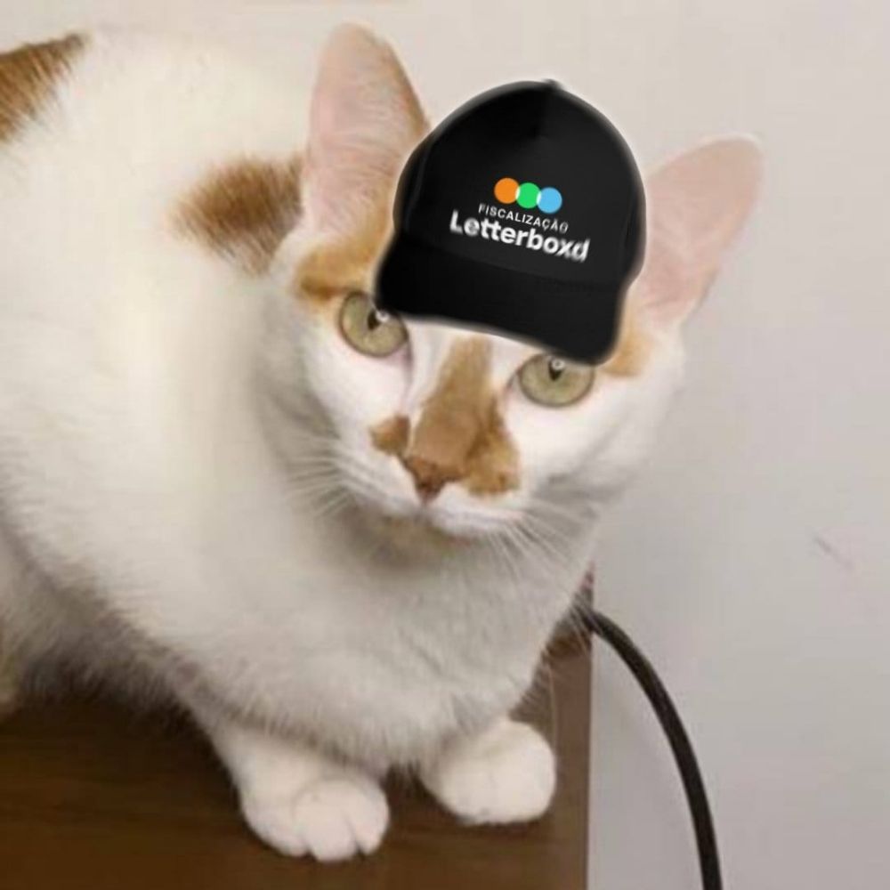 Gato Esquizo