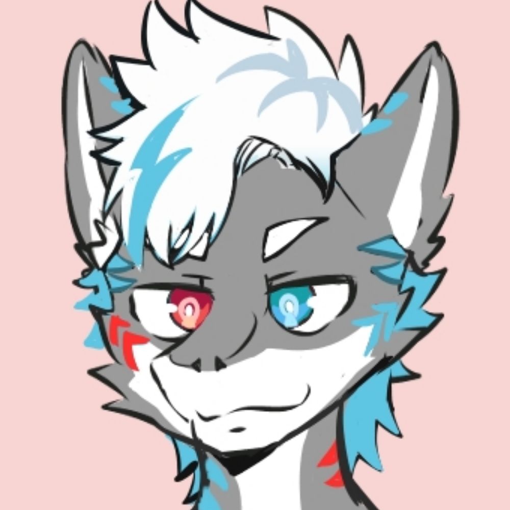 蜘蛛汪⚡SpiderWoof