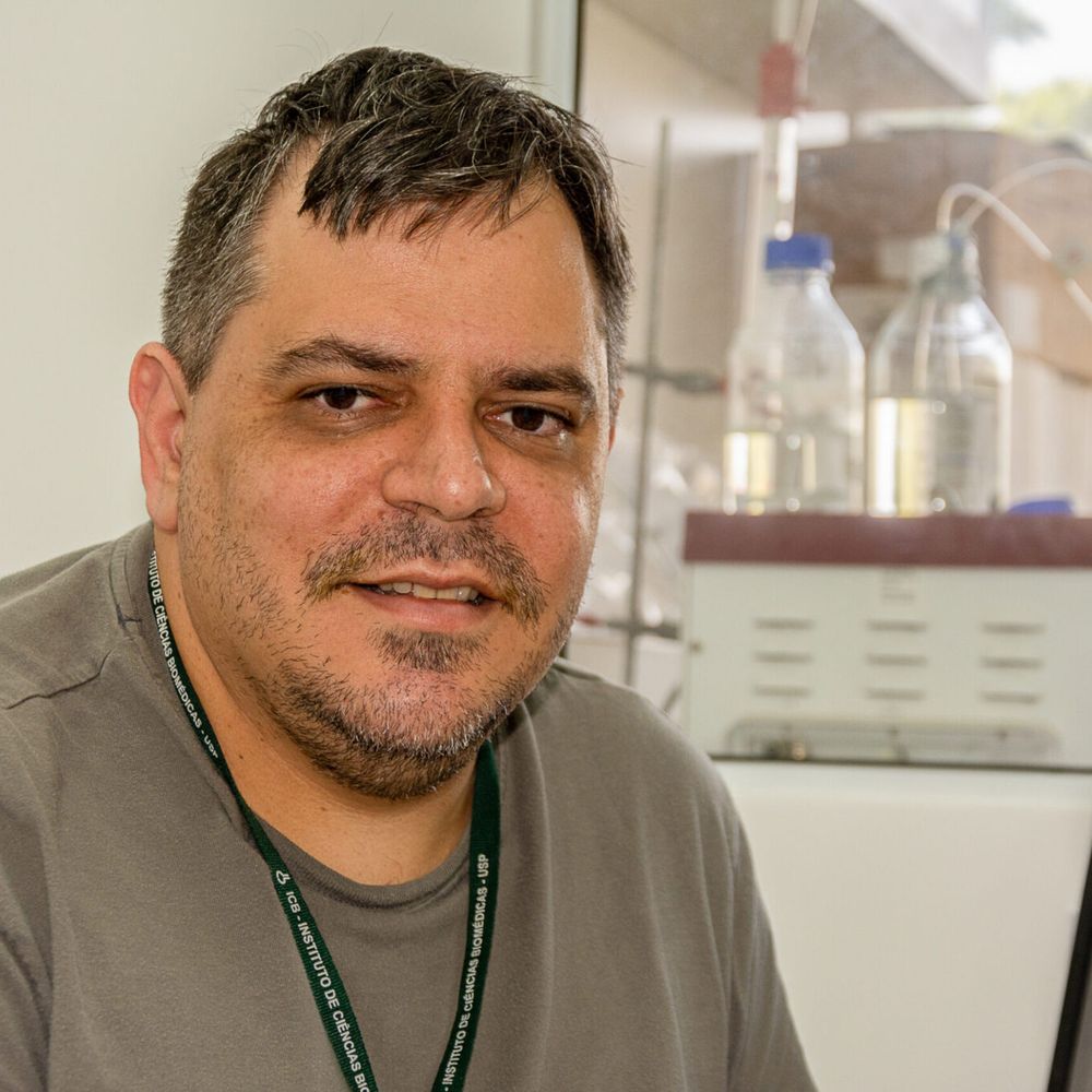 Marcio Dias
