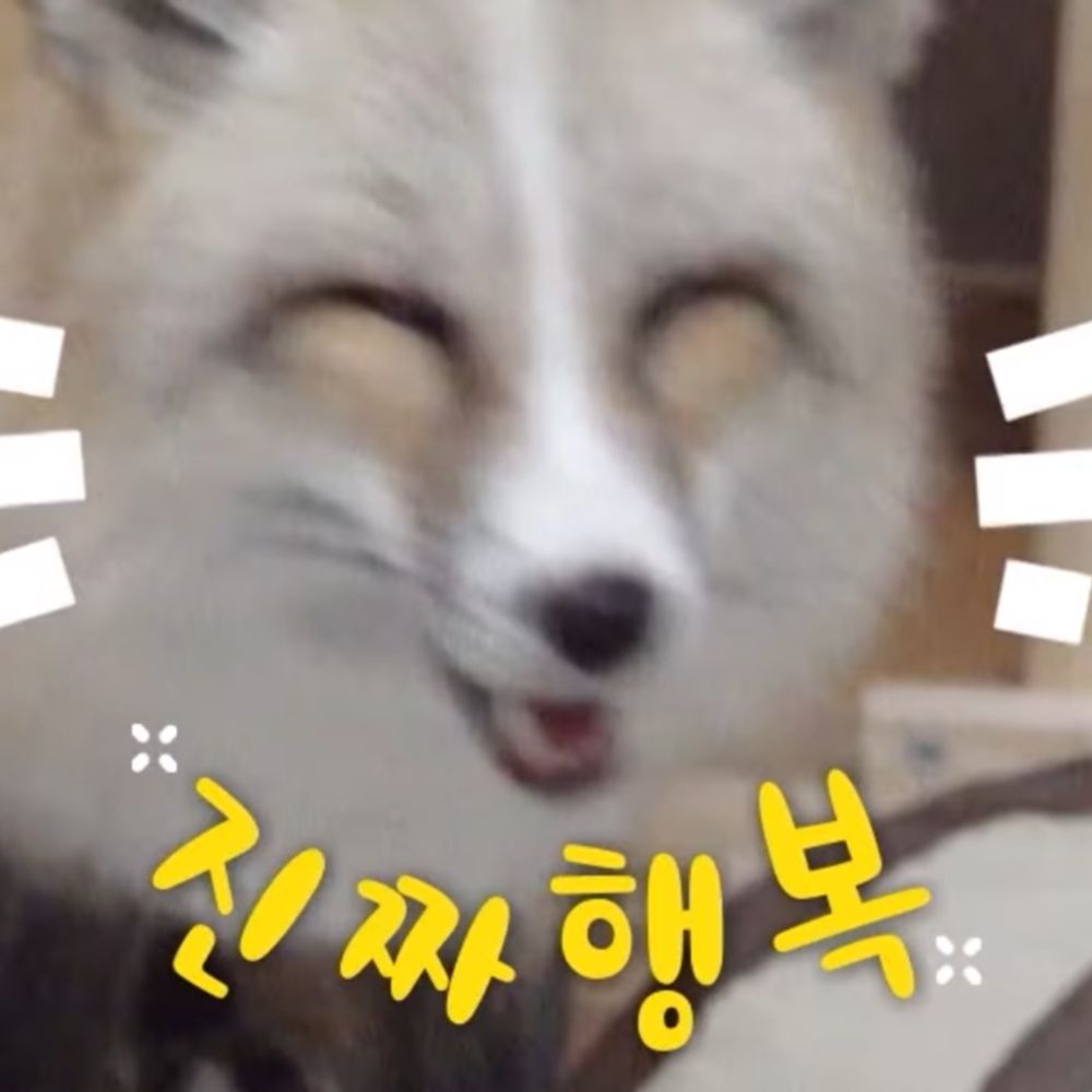 준치
