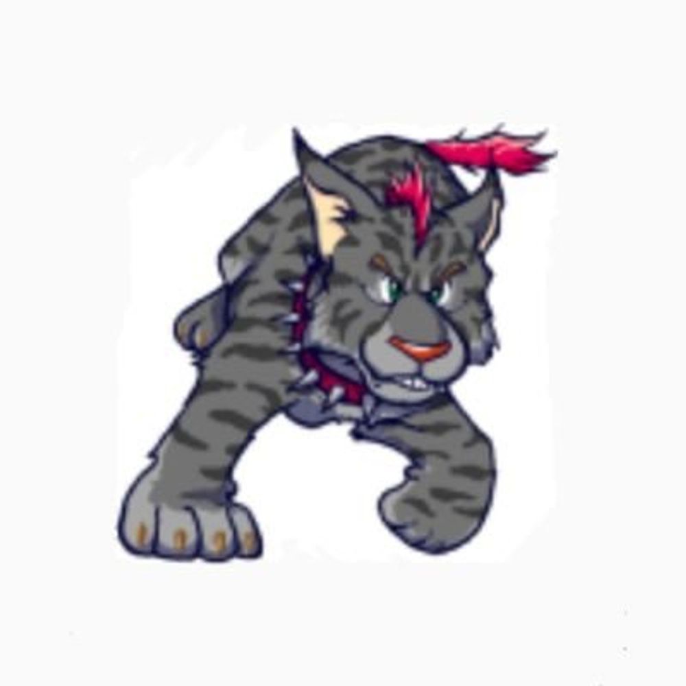 🐺🐯(ろうこ)