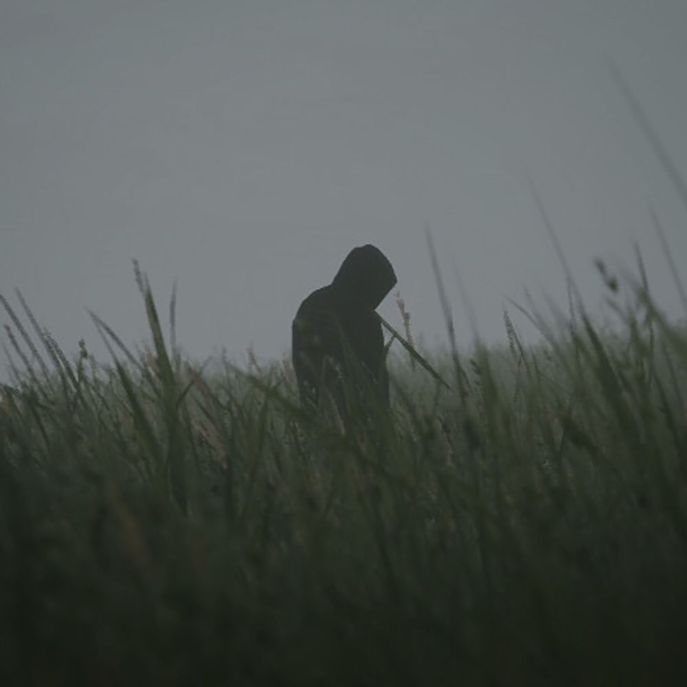Matt Newell