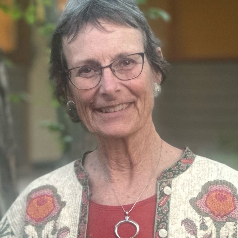 Ann Hedlund