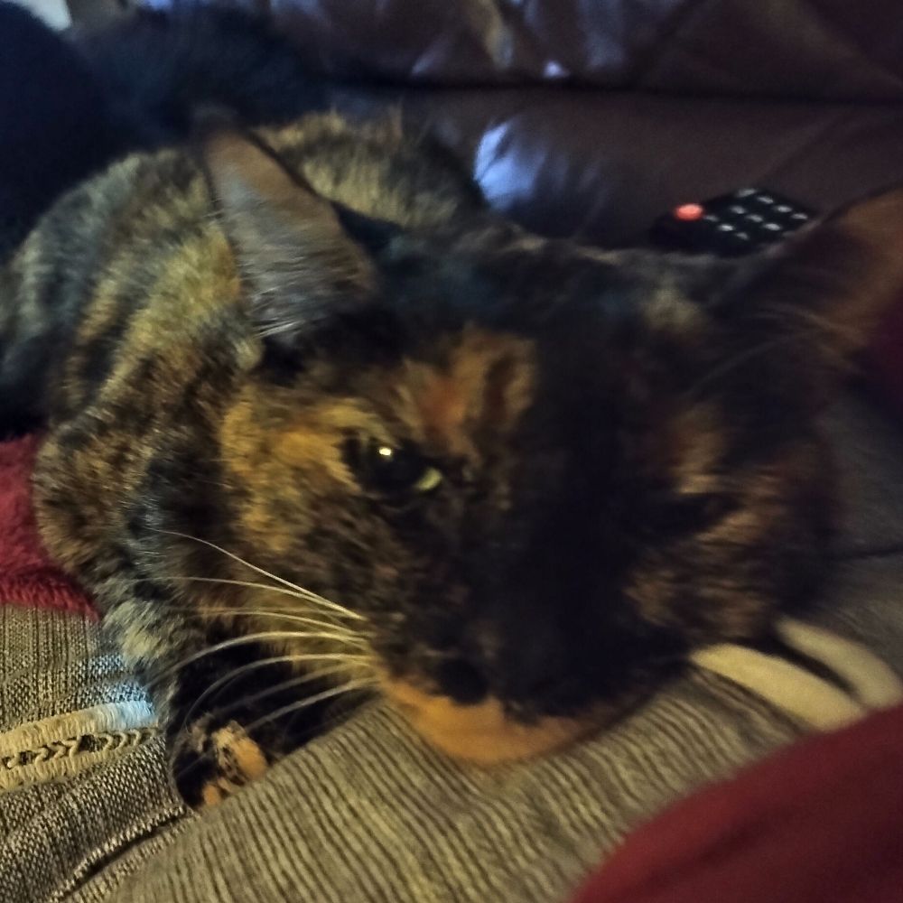Lilá