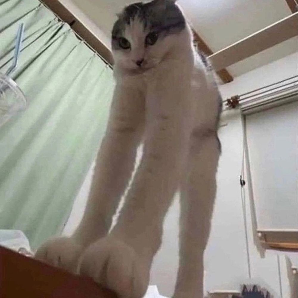 Фуши