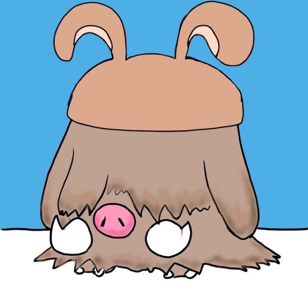 박펭귄씨