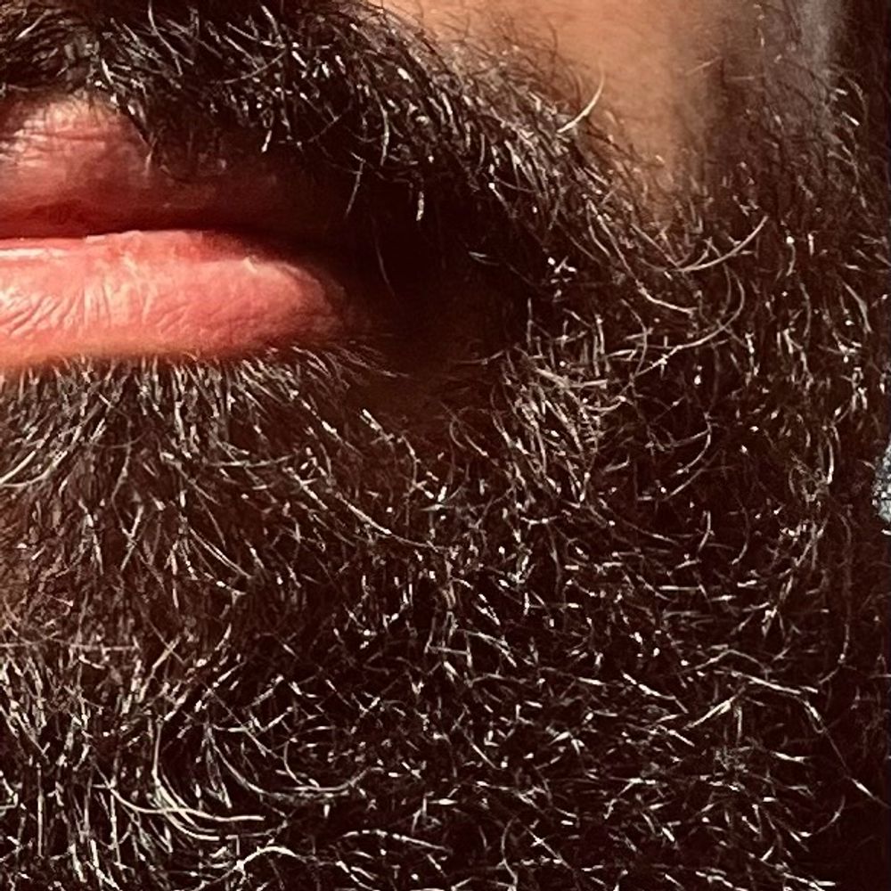 beardlad.bsky.social