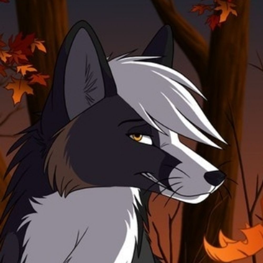 Young Wolf 