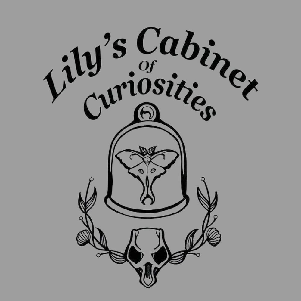 Lily's Cabinet 