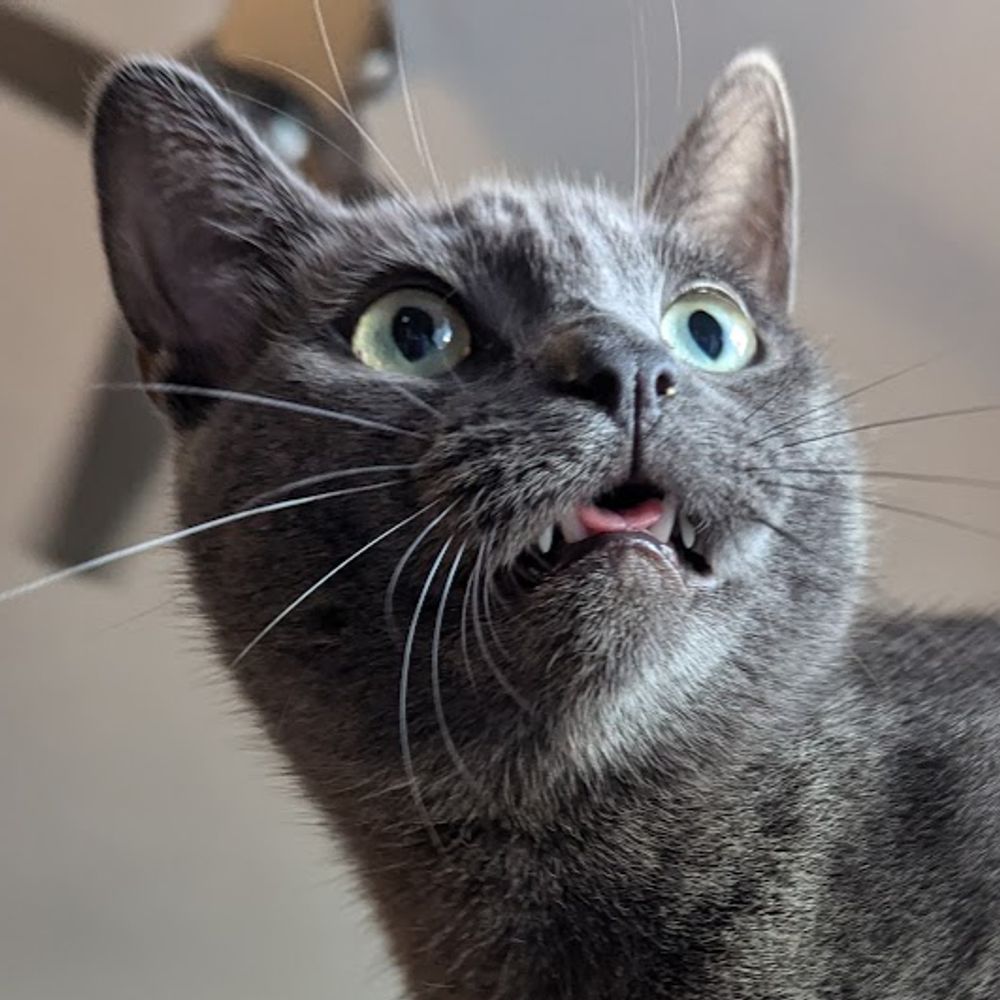 Isa