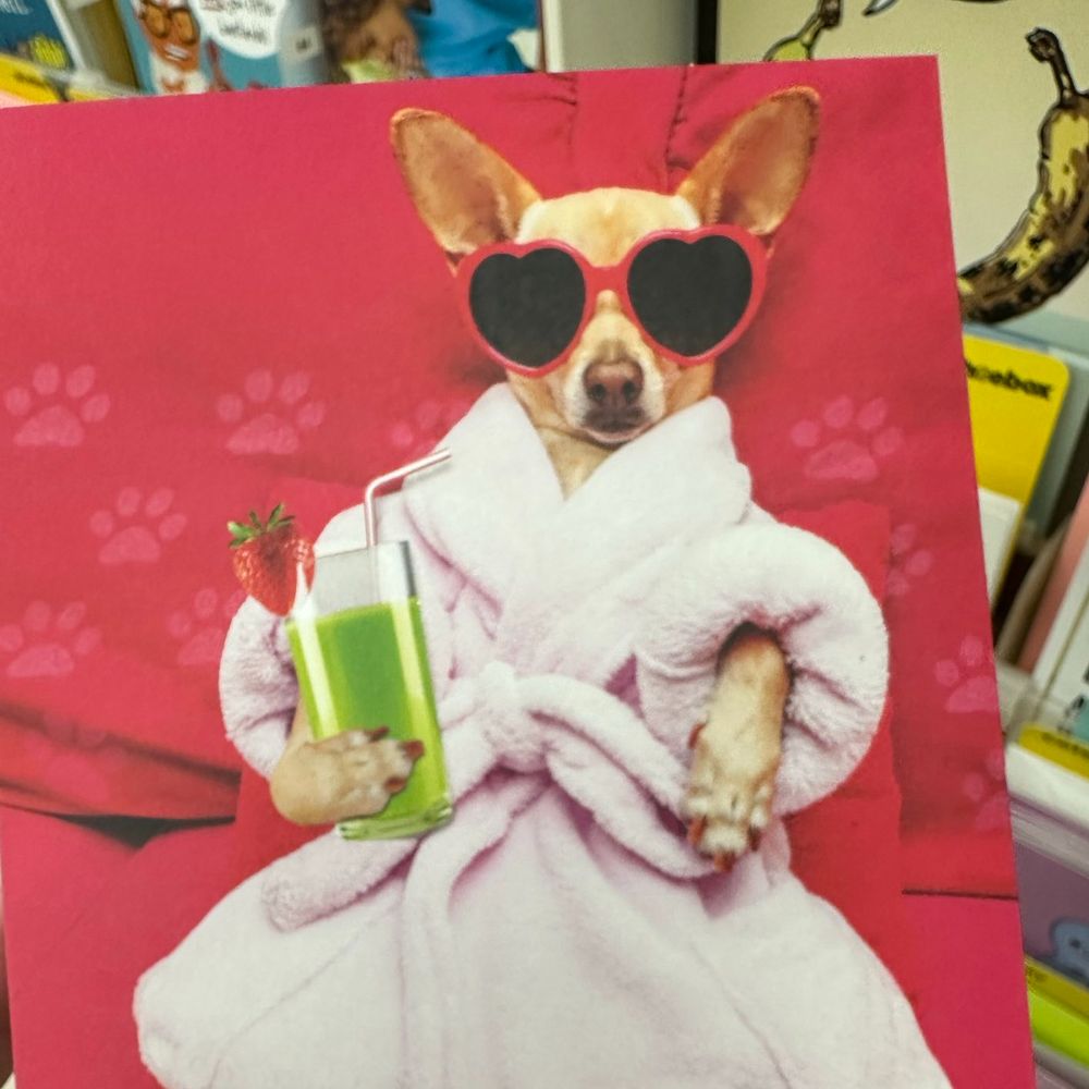 one six one dogs