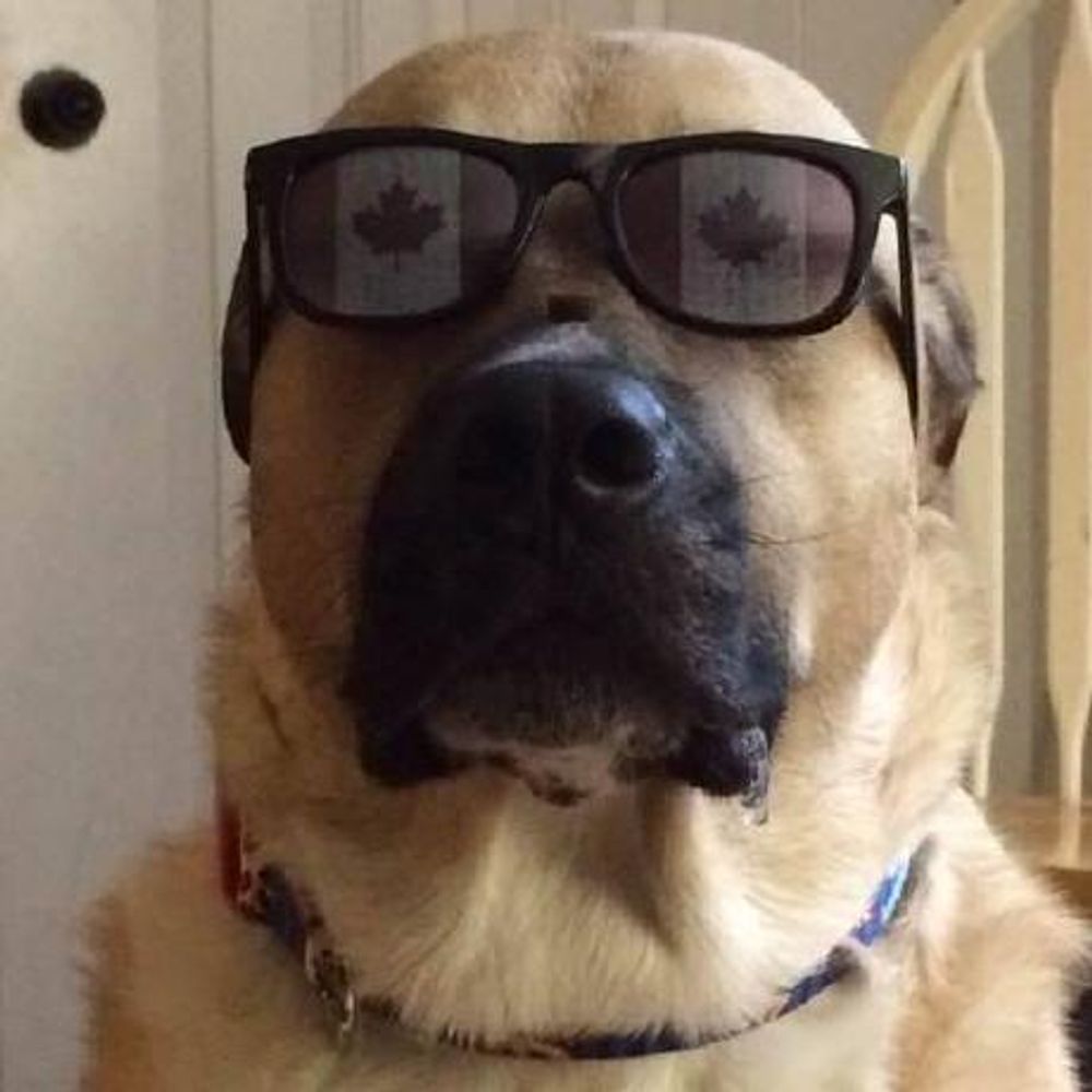 cognigens.bsky.social profile picture