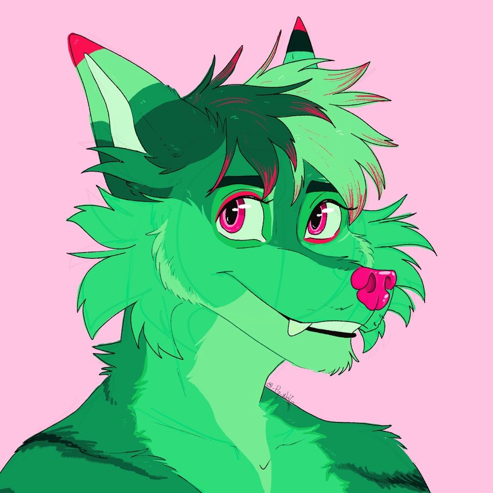 FlyWolf