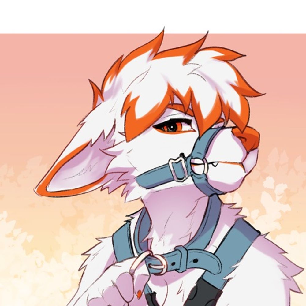 Torr Fox