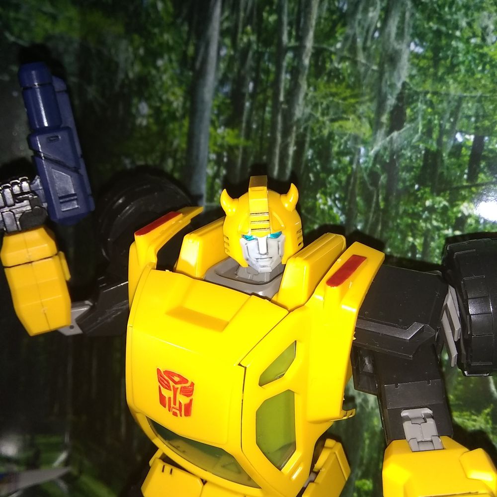 BumblebeeZ3