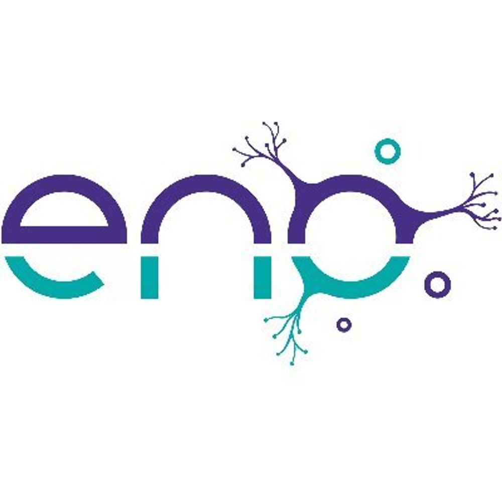 European Neurotrauma Organisation (ENO)