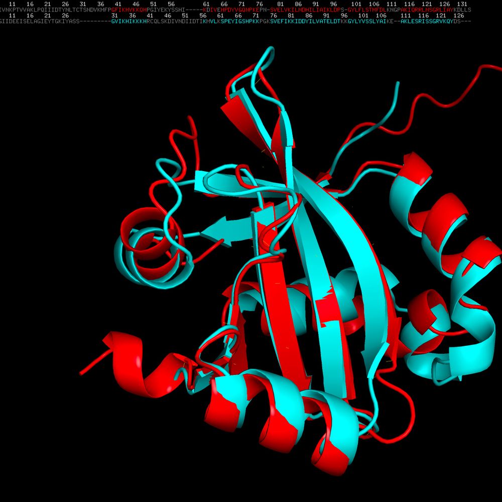 Profile picture molmicrounihoh.bsky.social