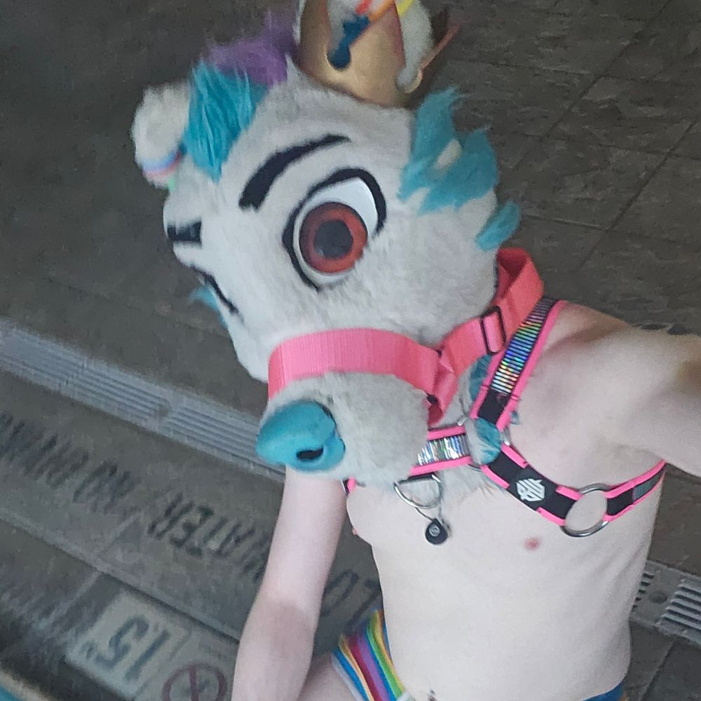 The Flirty Tolf