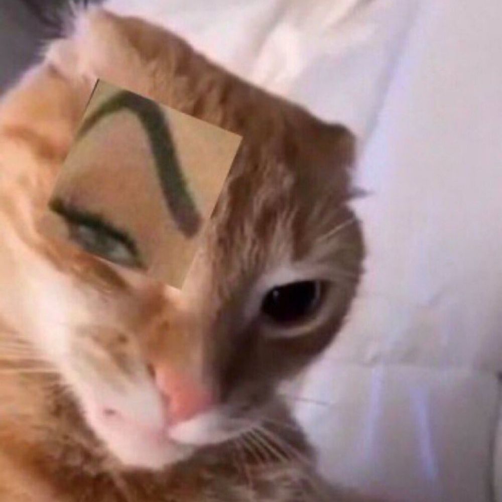 Gi