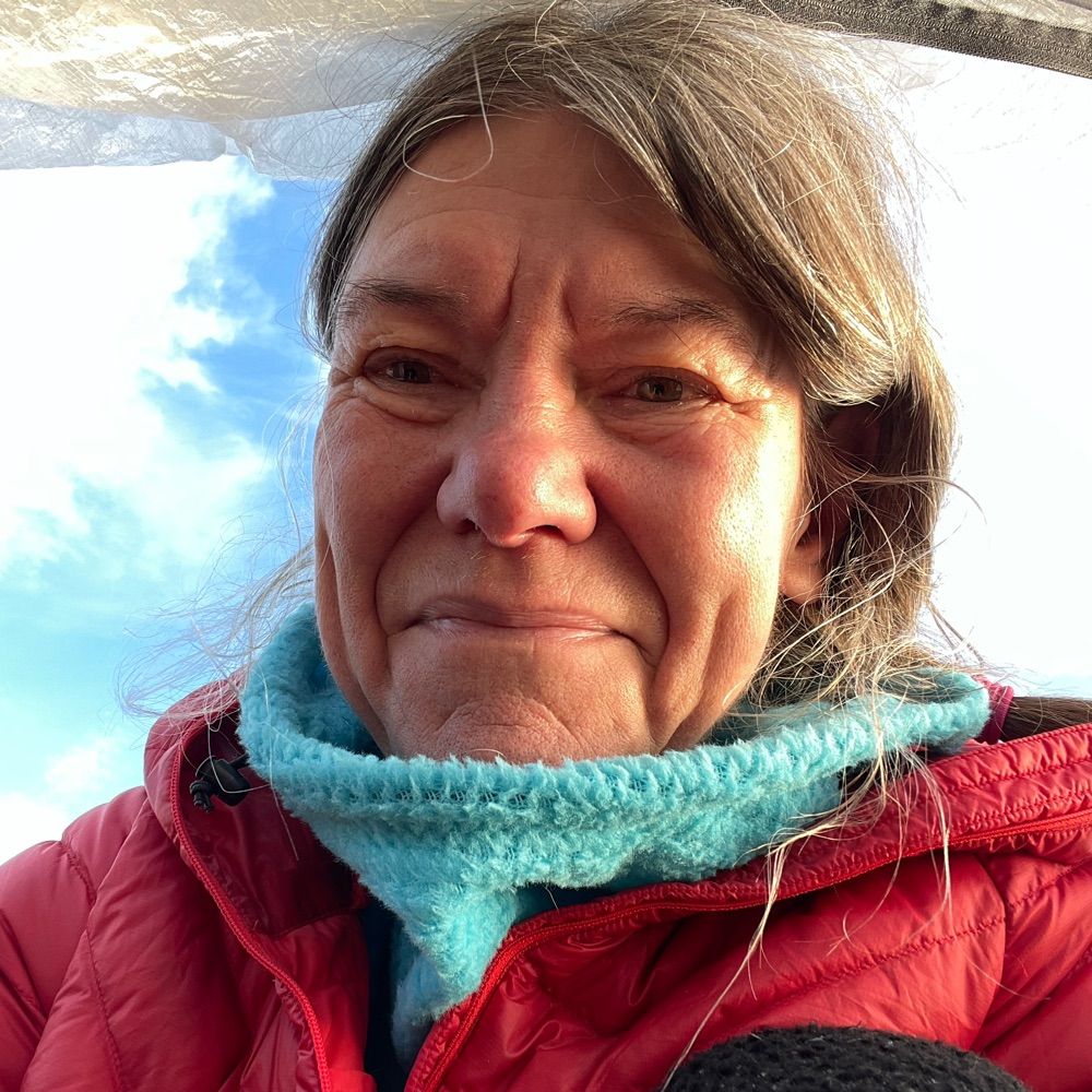 Eva Wieselgren