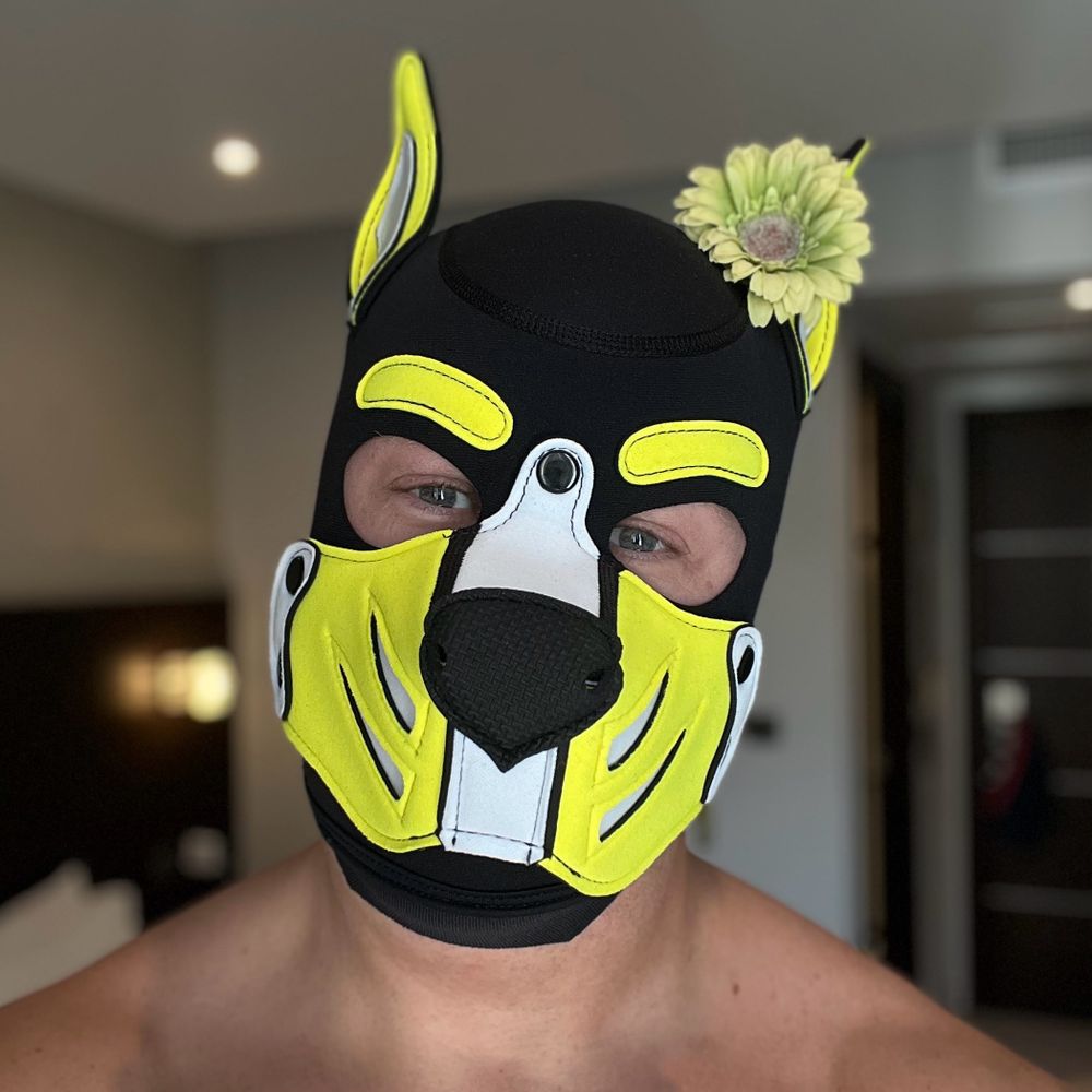 PupCasper
