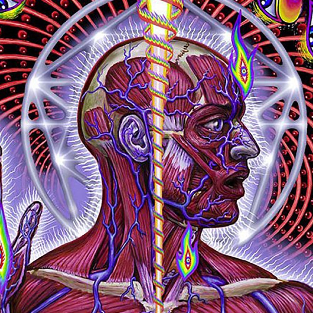 Lateralus1441