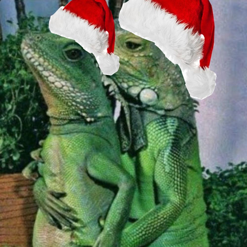iguanismo o bala🦎