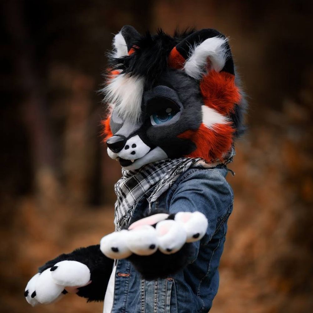 Jekyll Fox