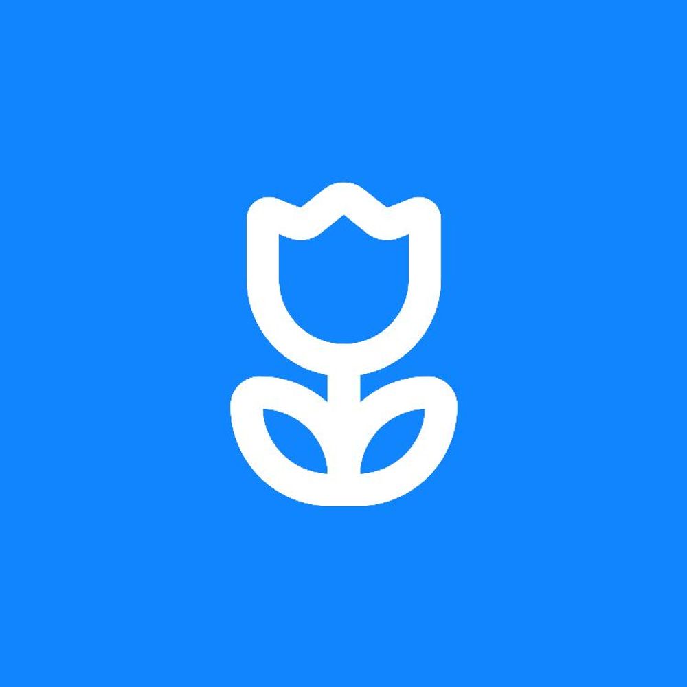 ribear84.bsky.social