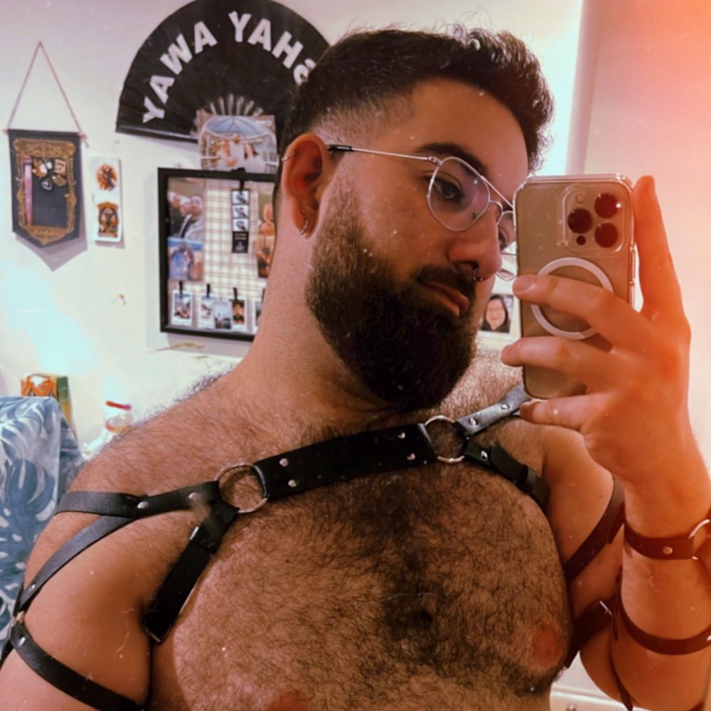 Venezuelan bear 🇻🇪🐻