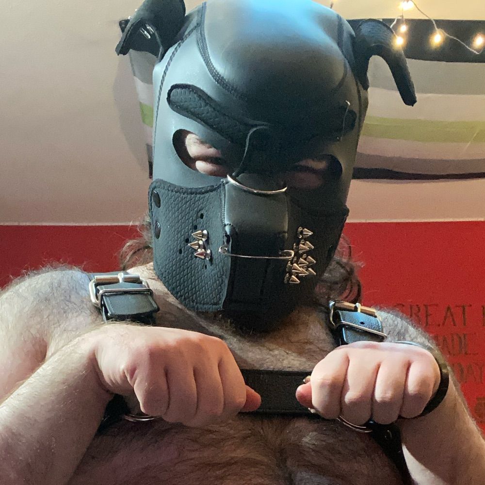 Puppy :3