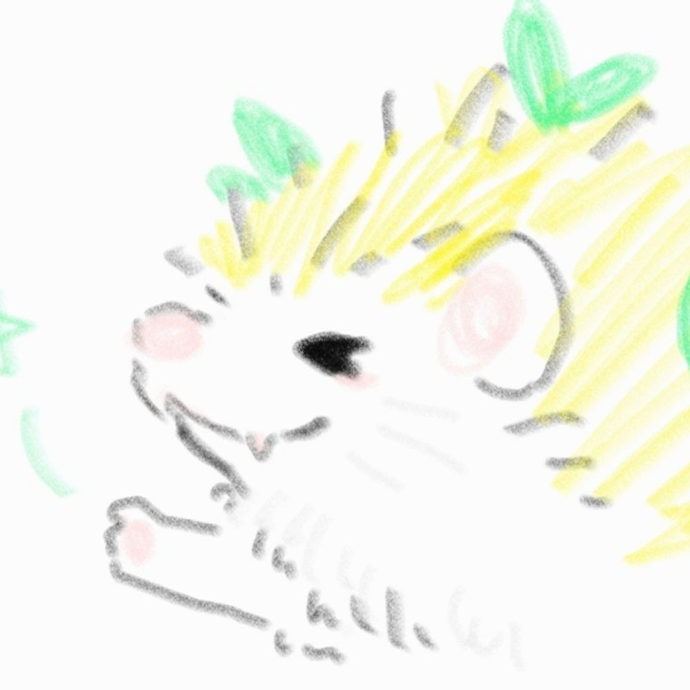 🌿필룸🍋 