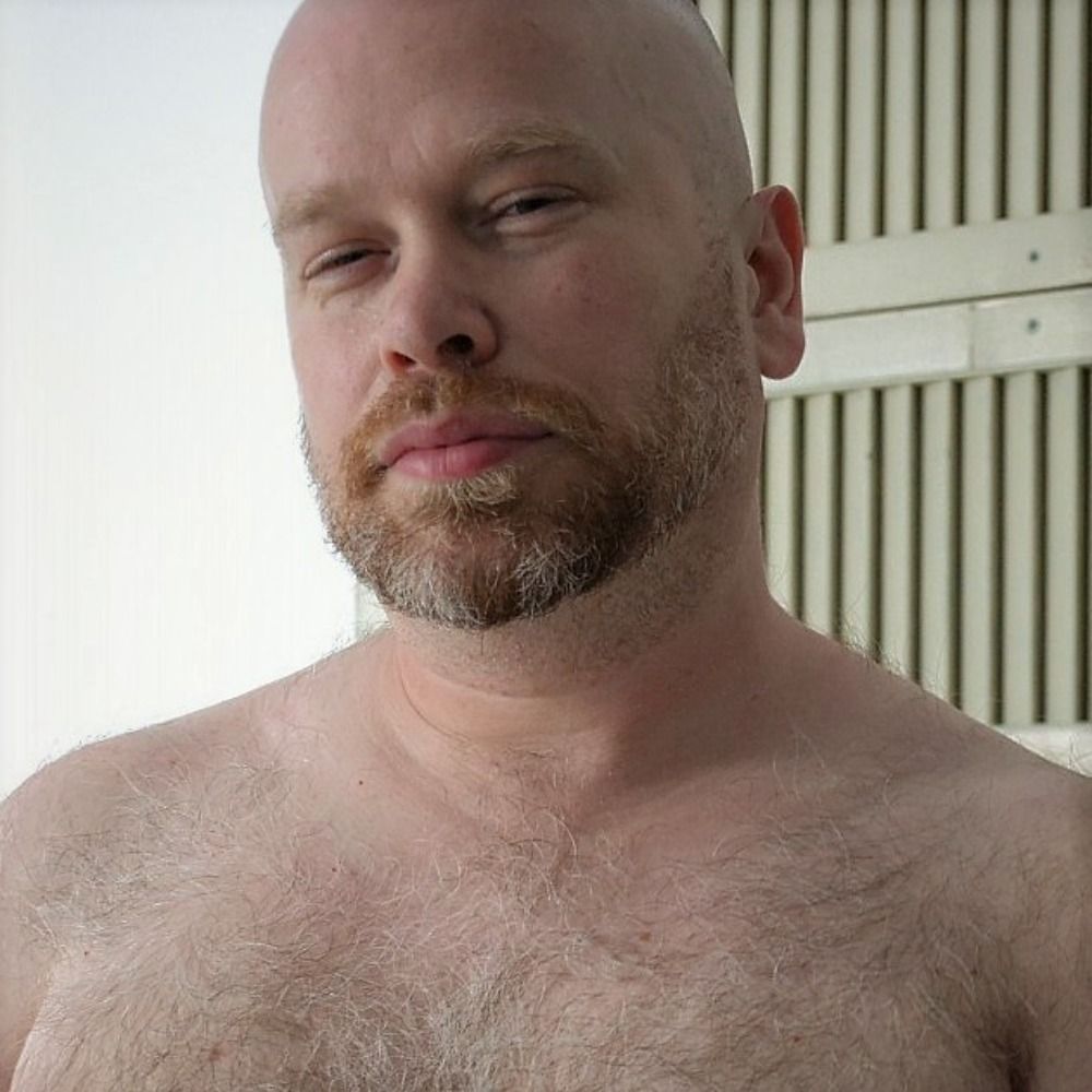Daddy Bear Steve