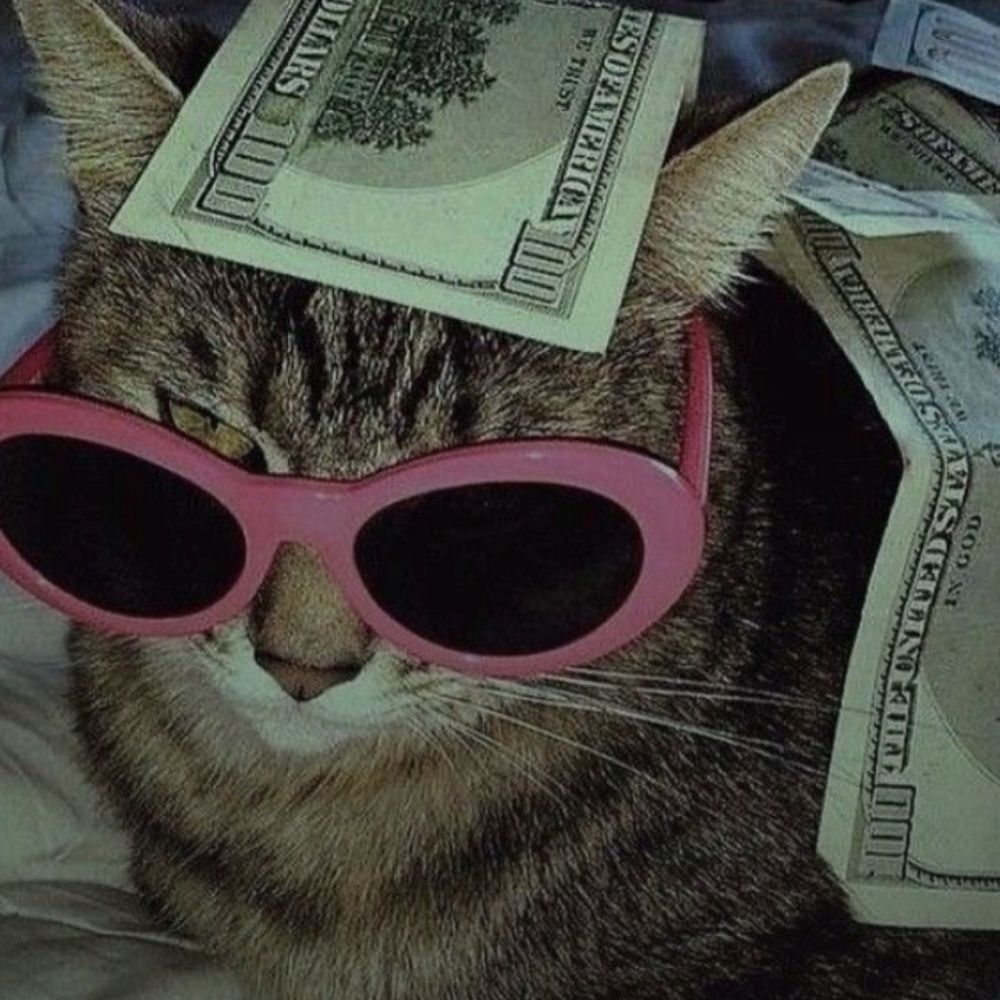 sbed