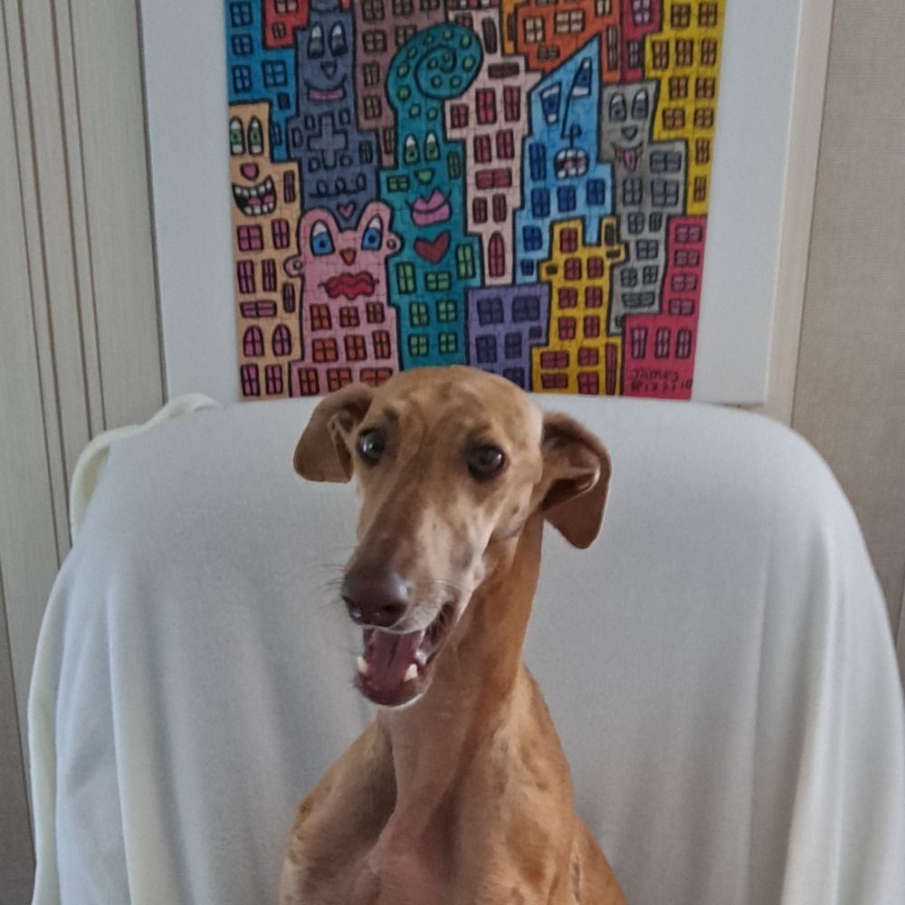 Tara