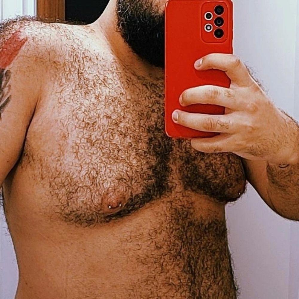 bearsinho com s