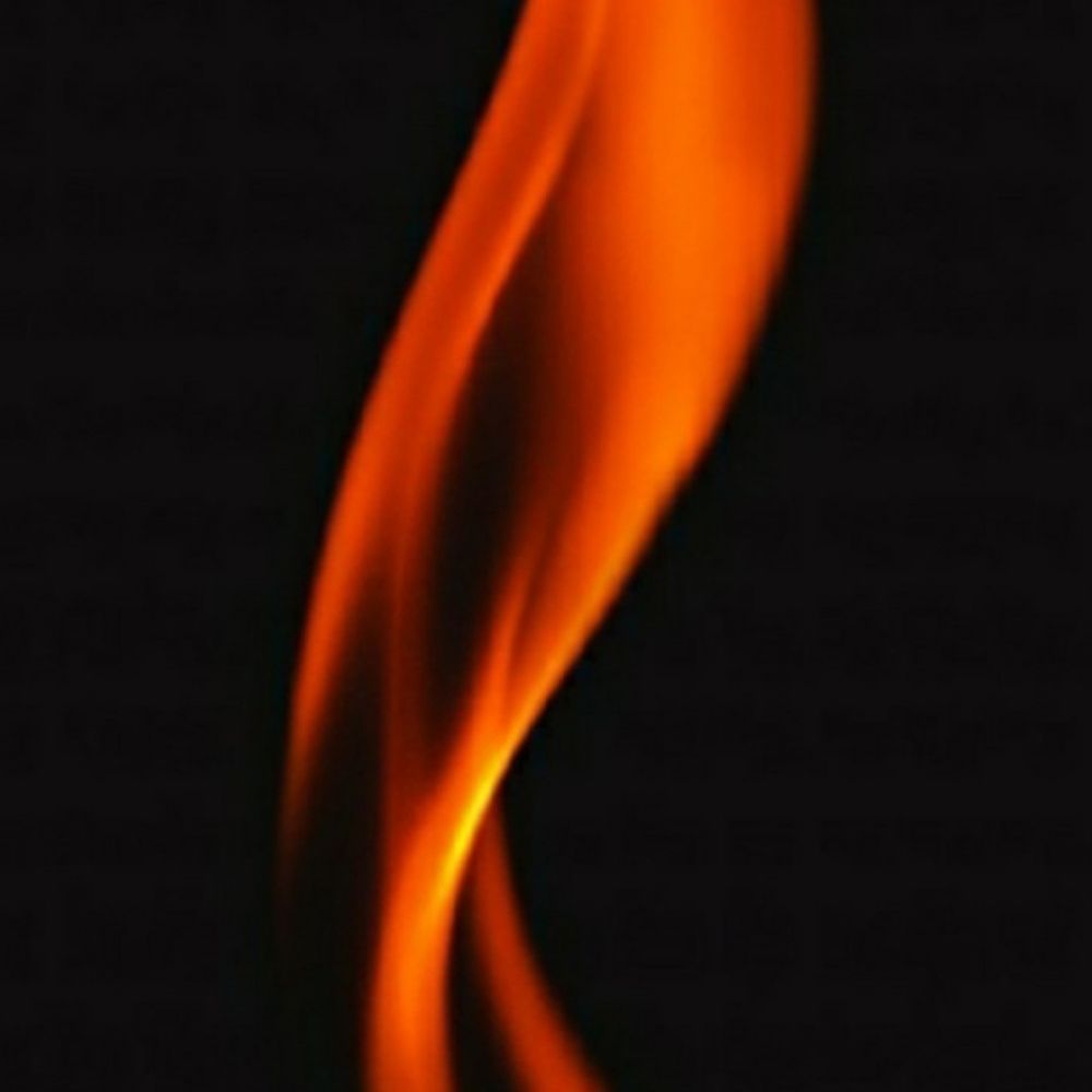 Absltelyx