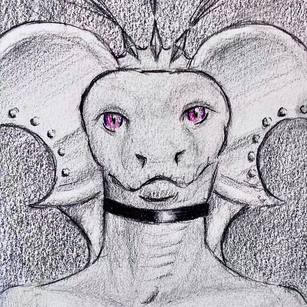 Aedificator
